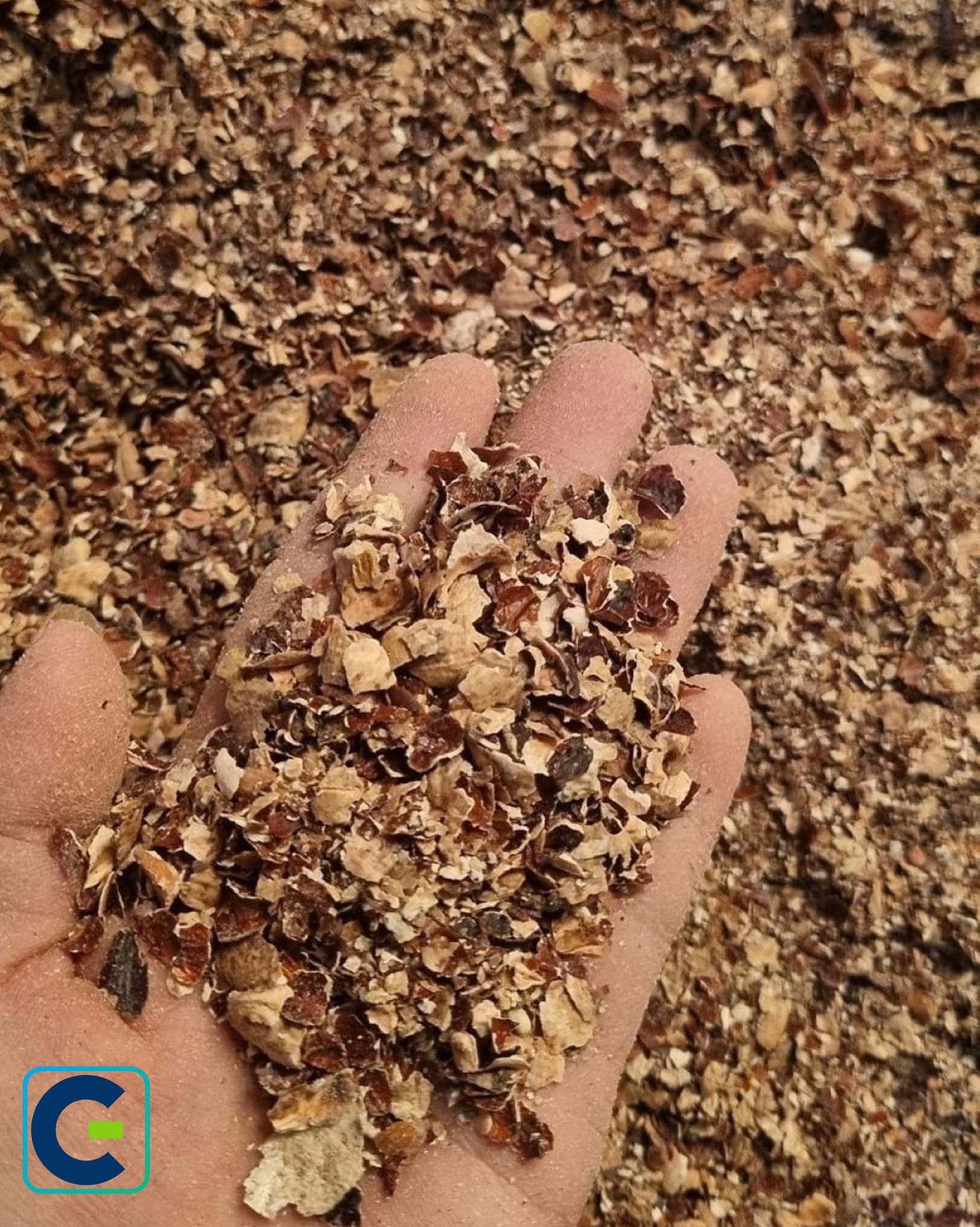 Cashew Husk