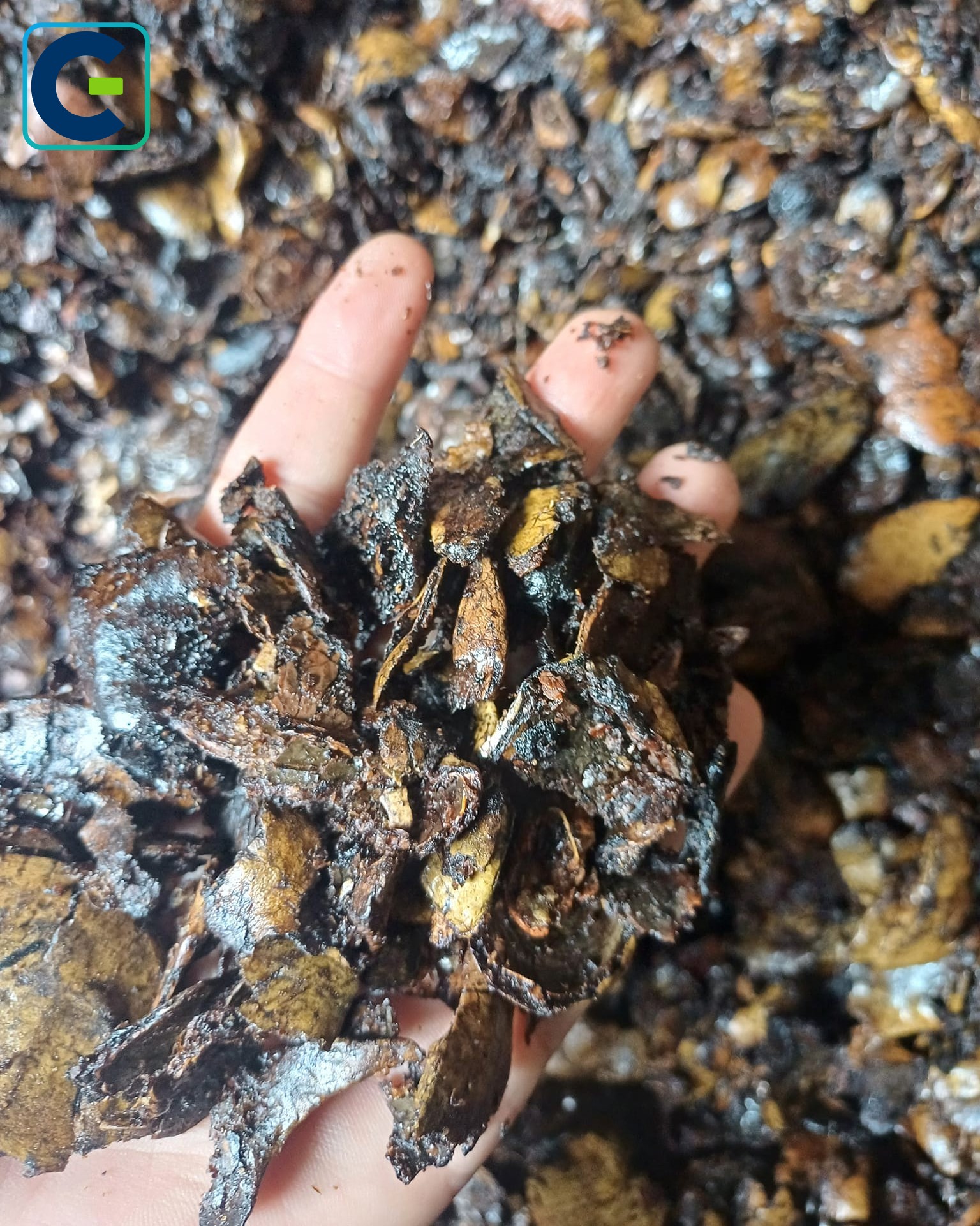 Solid Biomass Fuels